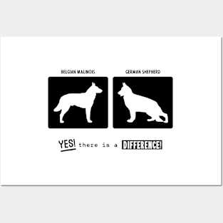 Belgian Malinois vs German Shepherd, there is a difference! Posters and Art